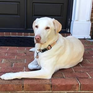 Meet your Posher, Kirsten